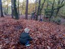 klik op de dia voor een grotere versie