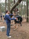 klik op de dia voor een grotere versie